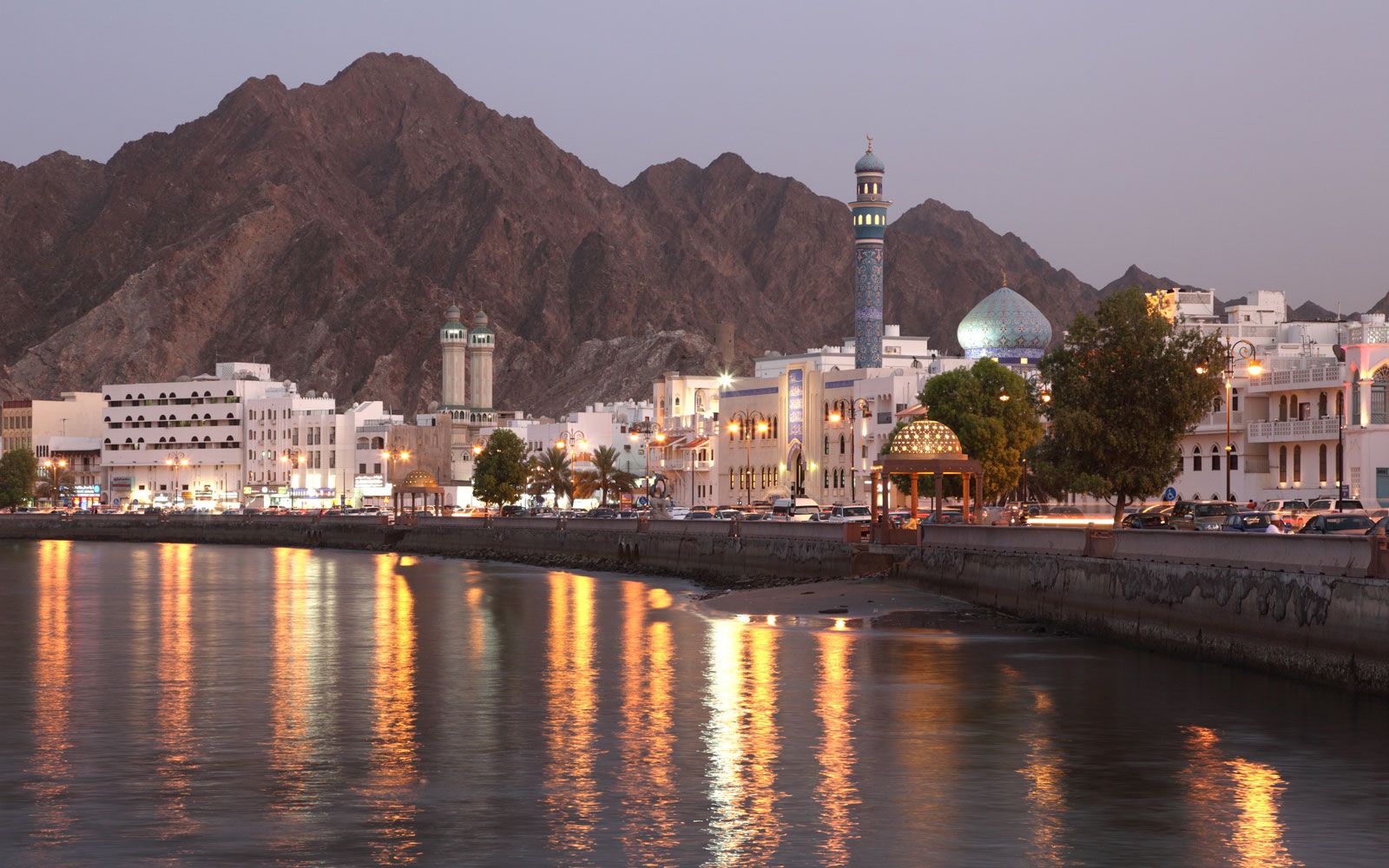 Renewable Energy: BP and Oman sign  strategic partnership