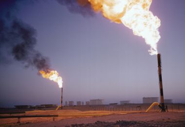 Exxon Sets Pace; Stops Flaring Urges Others To Join